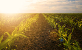 可持续发展农业