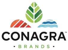 康尼格拉品牌标志